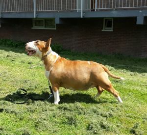 10300420_533929293384065_4015896116729402907_n