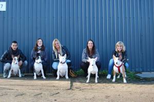 10862692_633314916778835_8057155306404822644_o