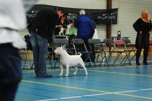 10845738_682428731867453_5354505649485532_o