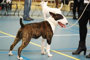 10996788_682428928534100_7510001827275623813_o