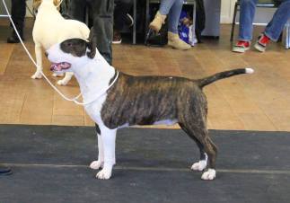 11136743_10206433774503345_3450685244853635251_n