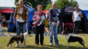 11268072_10207336493710761_6143399146982953218_n