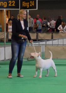 11228034_869928436394185_7821944624056117561_n