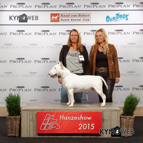 12088064_900564669997228_3222135564812406237_n