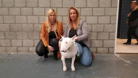 12065524_772691766174482_8999742247570163677_n