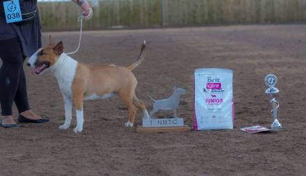 19149008_1266879210089066_6368939028898970360_n